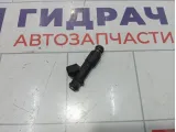 Форсунка инжекторная Geely Emgrand EC7 25376995