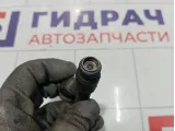 Форсунка инжекторная Geely Emgrand EC7 25376995