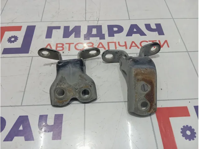 Петли двери передней левой Geely Emgrand EC7