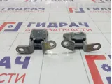 Петли двери передней правой Geely Emgrand EC7