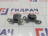 Петли двери задней левой Geely Emgrand EC7