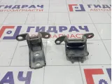 Петли двери задней левой Geely Emgrand EC7