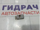 Фонарь подсветки номера Geely Emgrand EC7 1067001313