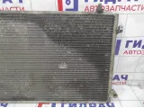 Радиатор кондиционера Geely Emgrand EC7 1067000139