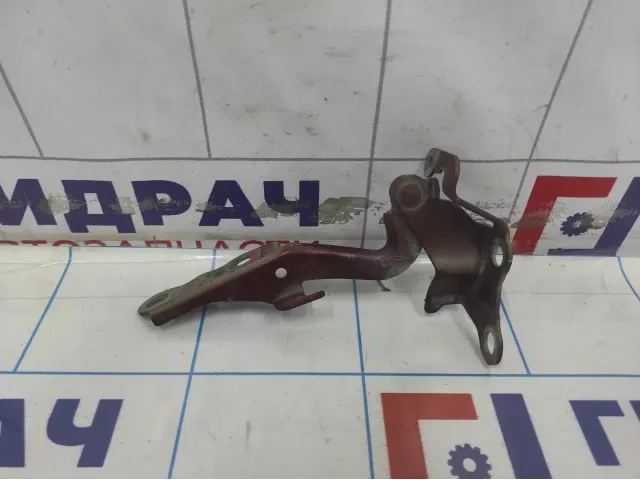 Петля капота левая Geely Emgrand EC7 1062002604