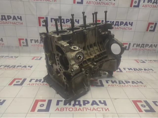 Блок цилиндров Geely Emgrand EC7 113600003301
