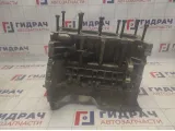 Блок цилиндров Geely Emgrand EC7 113600003301