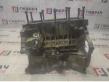 Блок цилиндров Geely Emgrand EC7 113600003301