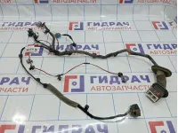 Проводка двери передней левой Geely Emgrand EC7 1067001188
