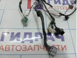 Проводка двери передней левой Geely Emgrand EC7 1067001188