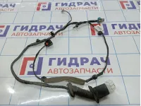 Проводка двери задней левой Geely Emgrand EC7 1067001190