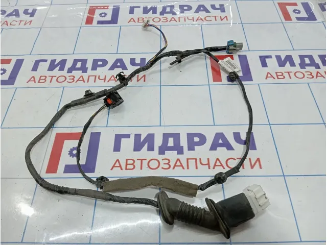 Проводка двери задней левой Geely Emgrand EC7 1067001190