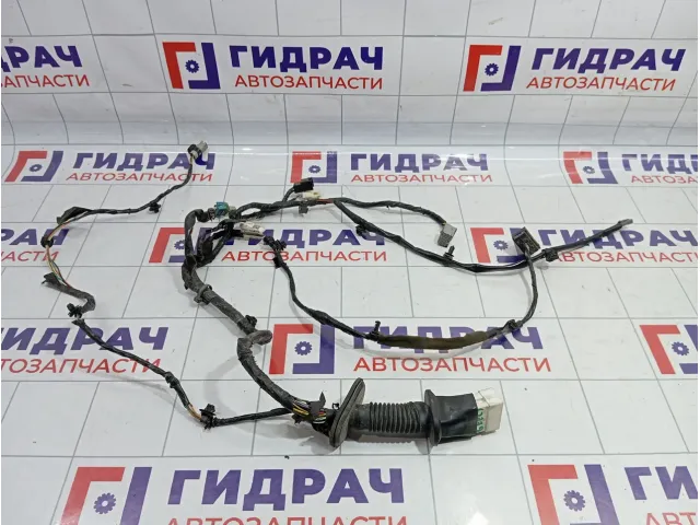 Проводка двери передней левой Geely Emgrand EC7 1017025973