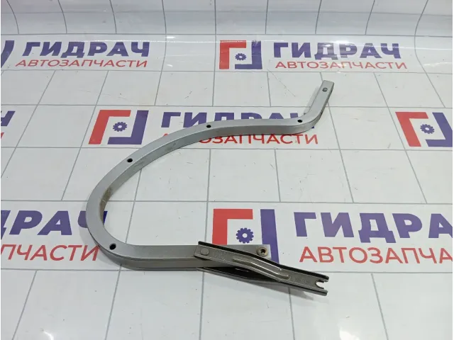 Петля крышки багажника Geely Emgrand EC7