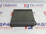 Испаритель кондиционера Geely Emgrand EC7 1067002246