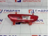 Фонарь противотуманный левый Geely Emgrand EC7