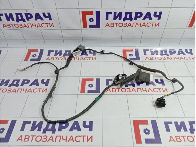 Проводка двери задней Geely Emgrand EC7