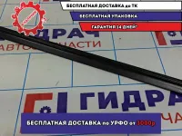 Уплотнитель стекла двери задний левый Geely MK 319008121101L.