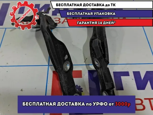 Петли капота Geely MK 1012003542. Комплект.