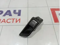 Кнопка открывания багажника Geely Tugella 6600001038