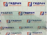 Стекло двери передней правой Geely Tugella 5079055600