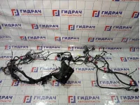 Проводка двигателя Geely Tugella 8891960839