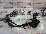 Проводка двигателя Geely Tugella 8891960839