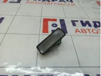 Фонарь подсветки номера Geely Tugella 6600132836