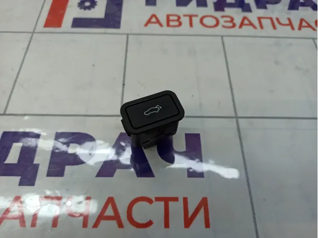 Кнопка открывания багажника Geely Tugella 6600001039