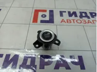 Кнопка запуска двигателя (Старт - стоп) Geely Tugella