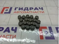 Колпачок колёсного болта Geely Tugella 8888078647