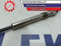 Свеча накаливания Great Wall Hover 0250202136.