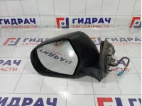 Зеркало электрическое левое Great Wall Hover H3 8202100K24