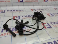 Катушка зажигания Great Wall Hover H3 SMW250510. С проводами.