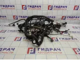 Проводка (коса) подкапотная Great Wall Hover H3 .