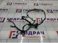 Проводка (коса) двери задней левой Great Wall Hover H3 4002130K00.