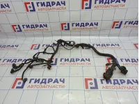 Проводка моторная Great Wall Hover H3 . На форсунки и т.д.