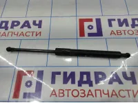 Амортизатор двери багажника Great Wall Hover H3 6309200K00.