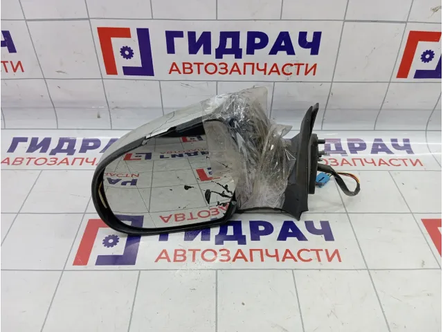 Зеркало левое электрическое Great Wall Hover H3 8202100K24