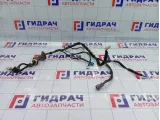 Проводка двери передней левой Great Wall Hover H5 4002310K80