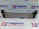 Интеркулер Great Wall Hover H5 1119100K70