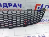 Решетка бампера Great Wall Hover H5 2803302K80