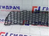 Решетка бампера Great Wall Hover H5 2803302K80