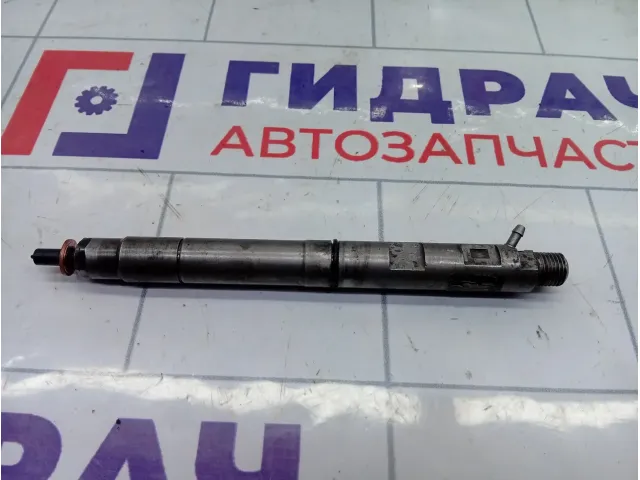 Форсунка дизельная электрическая Great Wall Hover H5 1100100ED01