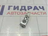 Клапан кондиционера Great Wall Hover H5 8106000K00C1