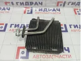 Испаритель кондиционера Great Wall Hover H5 8107110K00