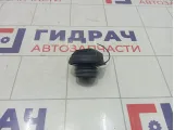 Крышка топливного бака Great Wall Hover H5 1101130K00B1