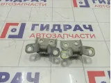 Петли двери задняя правая Great Wall Hover H5