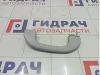 Ручка потолочная Great Wall Hover H5 8200210XK00XACV