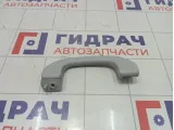 Ручка потолочная Great Wall Hover H5 8200210XK00XACV